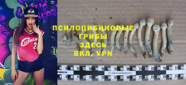 МДПВ Новодвинск
