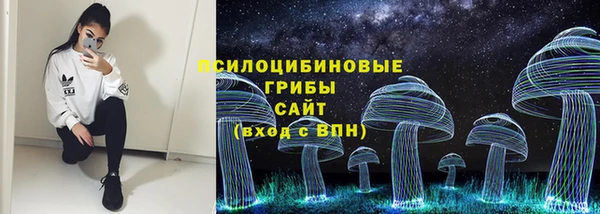 ешки Новокубанск
