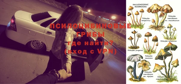 МДПВ Новодвинск