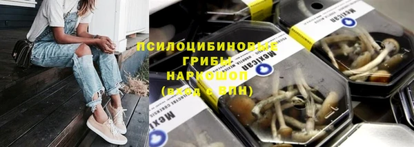 МДПВ Новодвинск