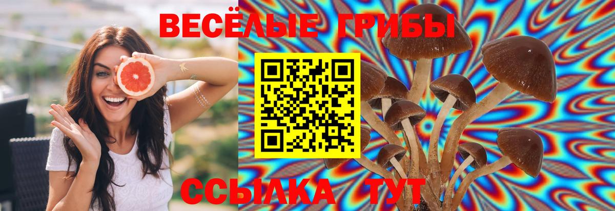 Псилоцибиновые грибы Magic Shrooms  Вход с VPN  Саки 